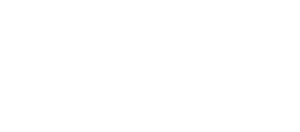 CDK Consulting Web White